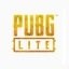 PUBG Lite